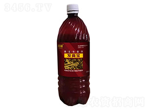 �l(f��)�S��΢�������-ϲ��-�G���r(n��ng)��