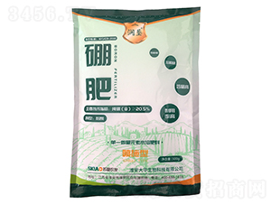 ���-���A����