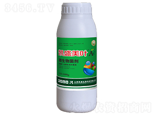 �Pʢ���~A΢�������-�Pʢ