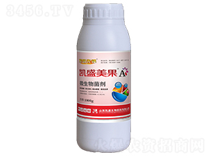 �Pʢ����A΢�������-̽·���h-�Pʢ