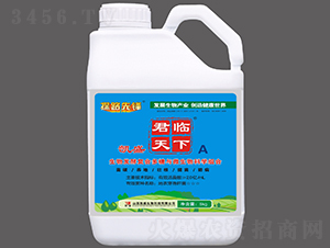 ΢�����-���R����A-�Pʢ