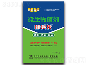 �����΢�������-̽·���h-�Pʢ