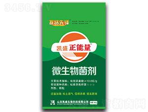 �Pʢ������΢�������-̽·���h-�Pʢ