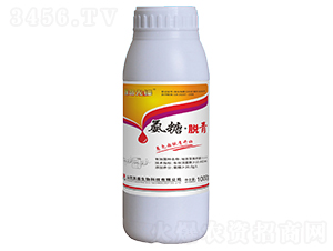 ���ǡ�Ó��΢�������-̽·���h-�Pʢ