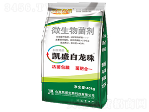 �Pʢ�����飨΢���������-̽·���h-�Pʢ