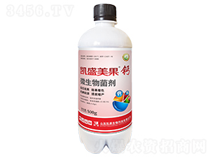 �Pʢ�������}΢�������-�Pʢ