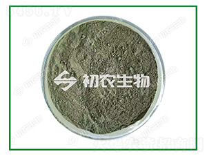 �Gɫľù��ľù�-���r(n��ng)����