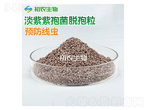 �������߾�Ó��������ù�-���r(n��ng)����