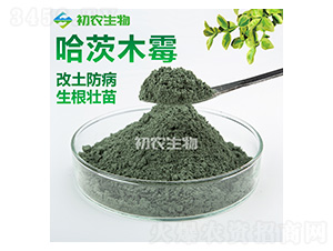 ����ľù��ľù�-���r(n��ng)����