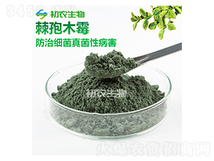 ����ľù��-���r(n��ng)����