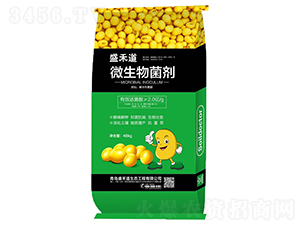 2�|���΢�������-ʢ�̵�