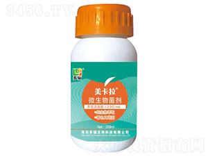 ΢�������-������-���P