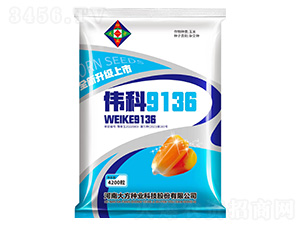 ����9136-���׷N��-�Є�(chu��ng)�N�I(y��)