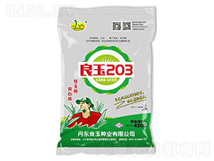 ���׷N��-����203-����N�I(y��)