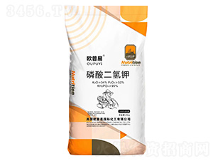 ��������-�W����