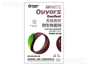 �o�����΢�������-�W��˹