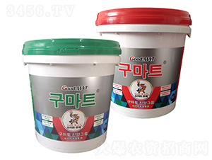 С�tͰС�GͰ-�Ȭ����H��