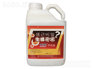 ��������-�Ȭ����H��