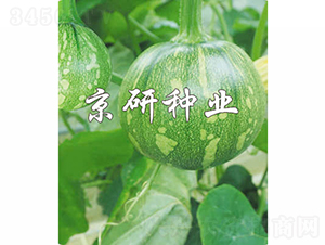 ����4̖(h��o)-�ϹϷN��-���зN�I(y��)