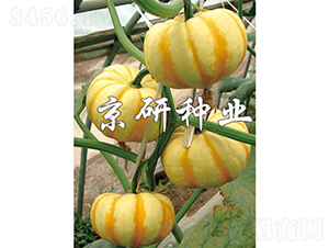 ����ʹ�-�ϹϷN��-���зN�I(y��)