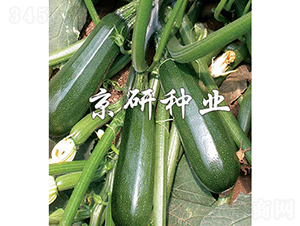 ����2̖-�����J�N��-���зN�I(y��)