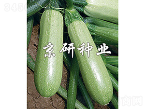 ����3̖-�����J�N��-���зN�I(y��)