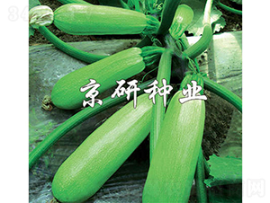 ����8̖-�����J�N��-���зN�I(y��)