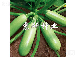 ����-�����J�N��-���зN�I(y��)