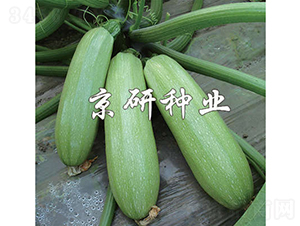 ����CRV1-�����J�N��-���зN�I(y��)