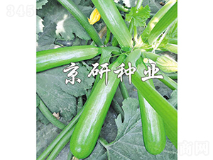 ����CRV4-2-�����J�N��-���зN�I(y��)