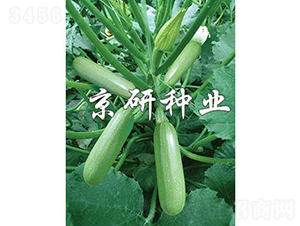 ����33-�����J�N��-���зN�I(y��)