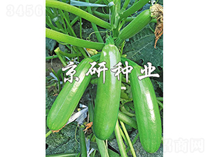 ����42̖(h��o)-�����J�N��-���зN�I(y��)