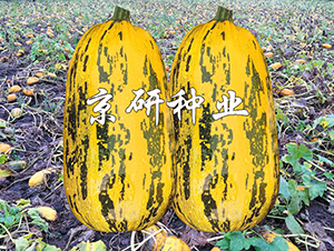 �������S3̖-�����J�N��-���зN�I(y��)