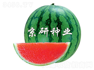 ����-���ϷN��-���зN�I(y��)