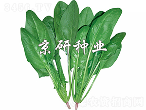 ���s10̖-���˷N��-���зN�I(y��)