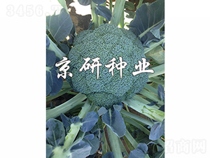 �̾G68-���m���N��-���зN�I(y��)