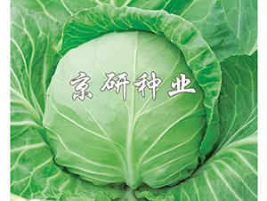 ����3̖-���{�N��-���зN�I(y��)