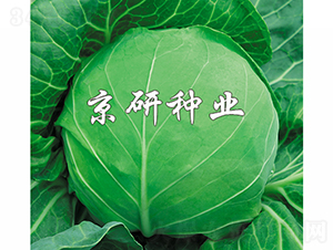 ����4̖-���{�N��-���зN�I(y��)