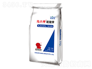 �R���������-Сħ��