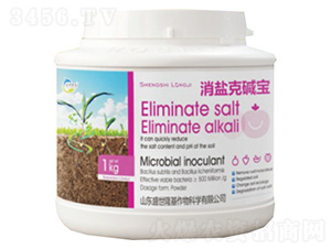 ���}�ˉA��-ʢ��¡��