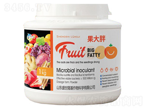 ������-ʢ��¡��