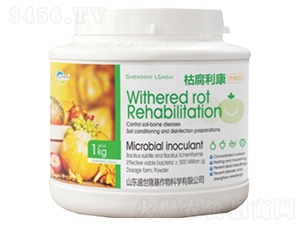 �ݸ�����-ʢ��¡��