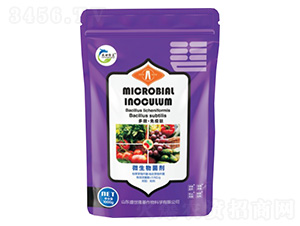 ��S��������-ʢ��¡��