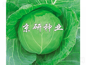 ����6̖-���{�N��-���зN�I(y��)