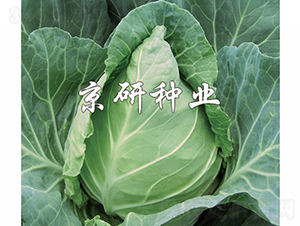 ţ��2̖-���{�N��-���зN�I(y��)