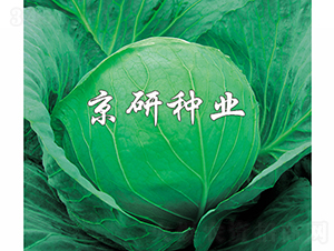 ���7̖-���{�N��-���зN�I(y��)