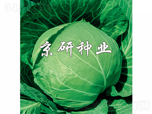 �����ļ�-���{�N��-���зN�I(y��)