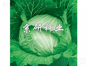 ���1̖-���{�N��-���зN�I(y��)