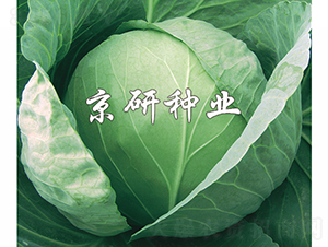 ���4̖-���{�N��-���зN�I(y��)