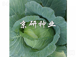 ���14-���{�N��-���зN�I(y��)